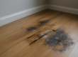Illustration af Fugtskader i gulv: Sådan opdager og forebygger du problemer i tide
